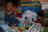 Photo /users/ganesh/gryphon/3754