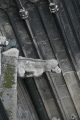 Photo /users/ganesh/gryphon/392