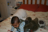 Photo /users/ganesh/gryphon/3923