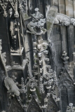 Photo /users/ganesh/gryphon/393