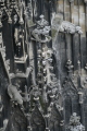 Photo /users/ganesh/gryphon/395