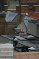 Photo /users/ganesh/gryphon/408