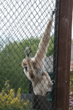 Photo /users/ganesh/gryphon/4208