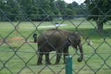 Photo /users/ganesh/gryphon/4251