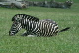 Photo /users/ganesh/gryphon/4281
