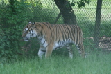Photo /users/ganesh/gryphon/4291