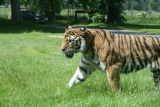 Photo /users/ganesh/gryphon/4306
