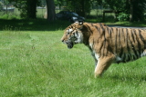 Photo /users/ganesh/gryphon/4307