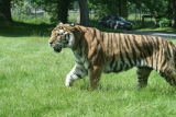 Photo /users/ganesh/gryphon/4308