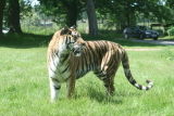 Photo /users/ganesh/gryphon/4310