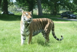 Photo /users/ganesh/gryphon/4312