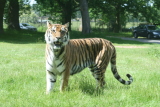 Photo /users/ganesh/gryphon/4313