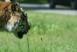 Photo /users/ganesh/gryphon/4318