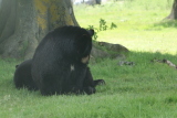 Photo /users/ganesh/gryphon/4324