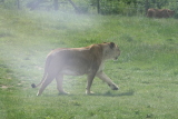 Photo /users/ganesh/gryphon/4377