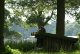 Photo /users/ganesh/gryphon/4425