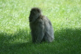 Photo /users/ganesh/gryphon/4448