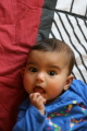 Photo /users/ganesh/gryphon/4754