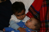 Photo /users/ganesh/gryphon/4775