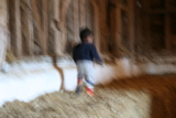 Photo /users/ganesh/gryphon/4883