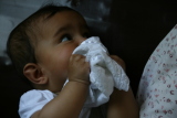 Photo /users/ganesh/gryphon/5031