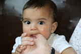 Photo /users/ganesh/gryphon/5037