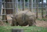 Photo /users/ganesh/gryphon/5233