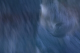 Photo /users/ganesh/gryphon/531