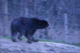Photo /users/ganesh/gryphon/535