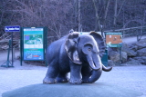 Photo /users/ganesh/gryphon/546