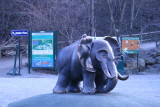 Photo /users/ganesh/gryphon/547