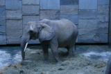Photo /users/ganesh/gryphon/552