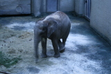 Photo /users/ganesh/gryphon/554