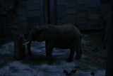 Photo /users/ganesh/gryphon/555