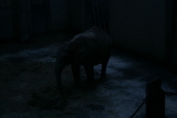 Photo /users/ganesh/gryphon/556
