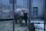 Photo /users/ganesh/gryphon/559