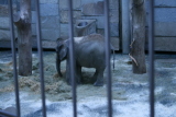 Photo /users/ganesh/gryphon/560