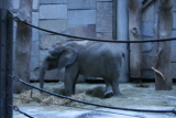 Photo /users/ganesh/gryphon/561