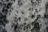 Photo /users/ganesh/gryphon/5704