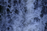 Photo /users/ganesh/gryphon/5705