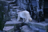 Photo /users/ganesh/gryphon/572