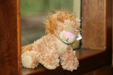 Photo /users/ganesh/gryphon/5725