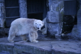 Photo /users/ganesh/gryphon/576