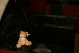 Photo /users/ganesh/gryphon/5761