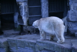 Photo /users/ganesh/gryphon/579