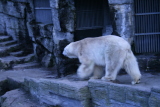 Photo /users/ganesh/gryphon/580