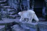 Photo /users/ganesh/gryphon/581