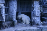Photo /users/ganesh/gryphon/584