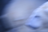 Photo /users/ganesh/gryphon/587