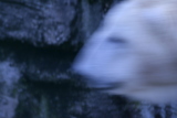 Photo /users/ganesh/gryphon/589
